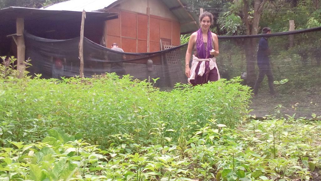 Ban Mon Talaeng The Local Story Resort מראה חיצוני תמונה